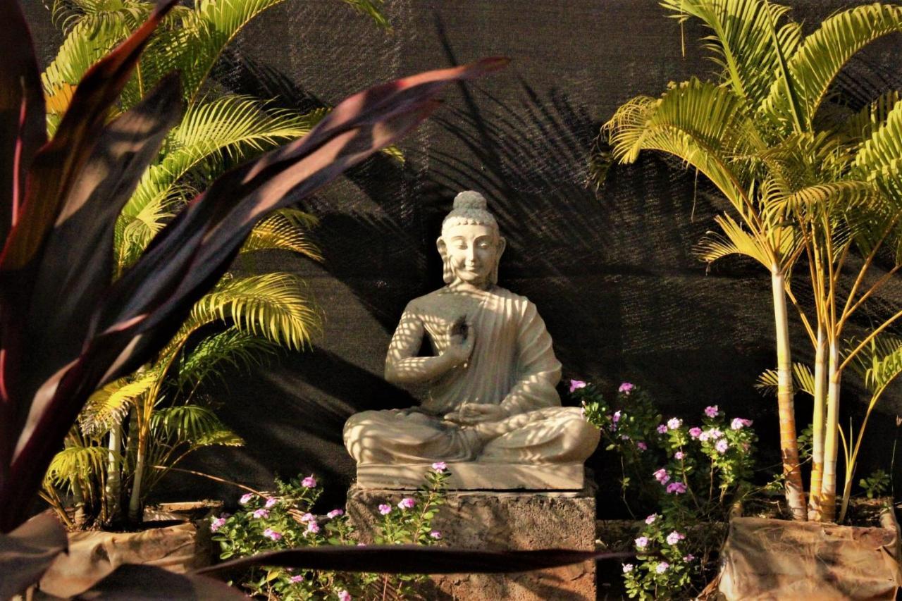 Lotus Sutra Arambol Exterior foto
